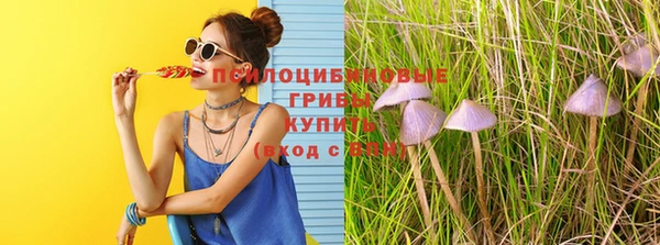 MDMA Богородицк