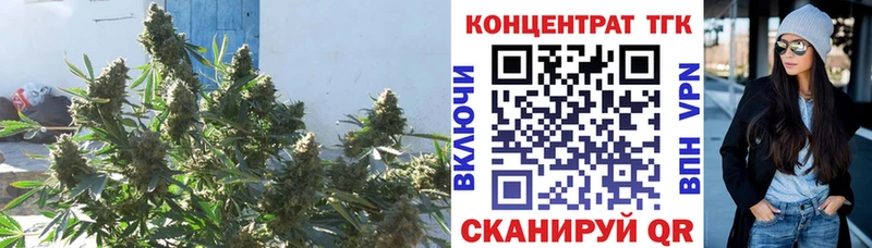даркнет сайт  KRAKEN маркетплейс  Дистиллят ТГК THC oil  Будённовск 