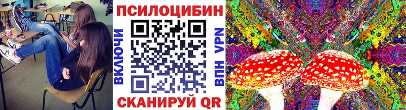 где можно купить   shop какой сайт  Псилоцибиновые грибы GOLDEN TEACHER  Будённовск 